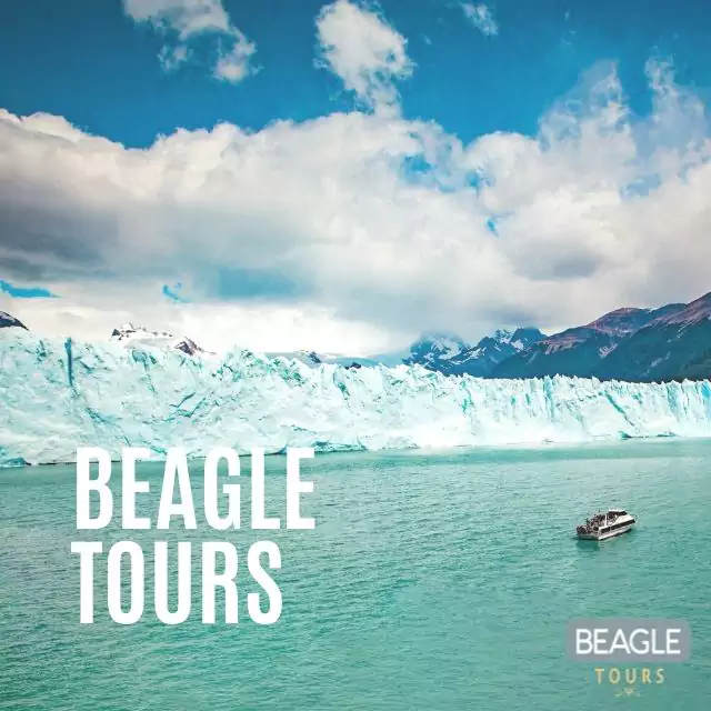Beagle Tours