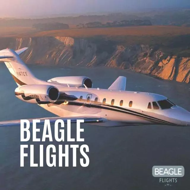 Beagle Flights