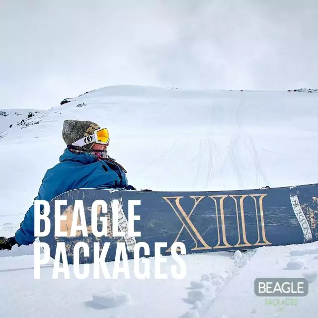 Beagle Packages
