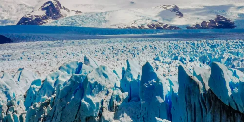 beagle-calafate-perito-moreno.webp