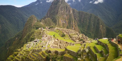 beagle-peru-machu-picchu.webp