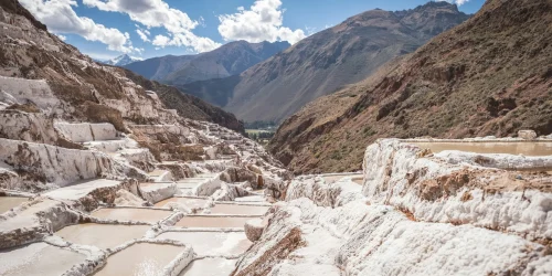 beagle-peru-sacred-valley.webp