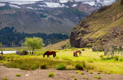 neuquen-21.webp