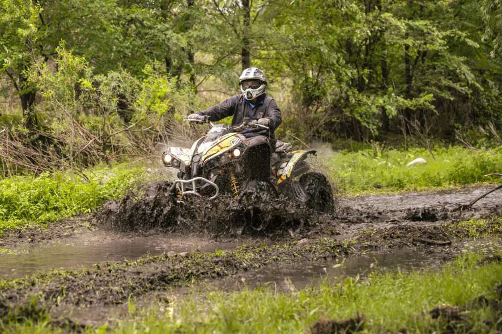 Bird Watching Trips & Tours | Beagle Birding International | Global Guided Tours & Travel