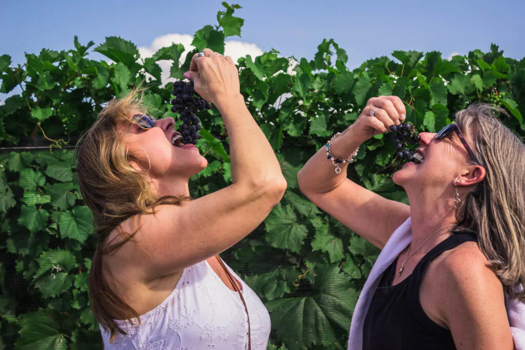 Cultural Tours & Experience | Beagle International | Global Guided Tours & Travel