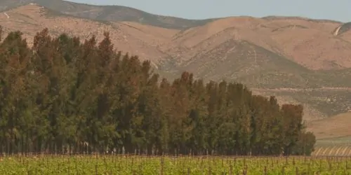 mendoza-wine-tour-optimized-1.jpg